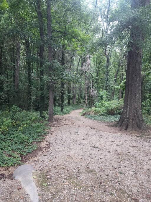 דירות שרלוט Spotless 4Br Near Clt Uptown, Fast Wi-Fi מראה חיצוני תמונה